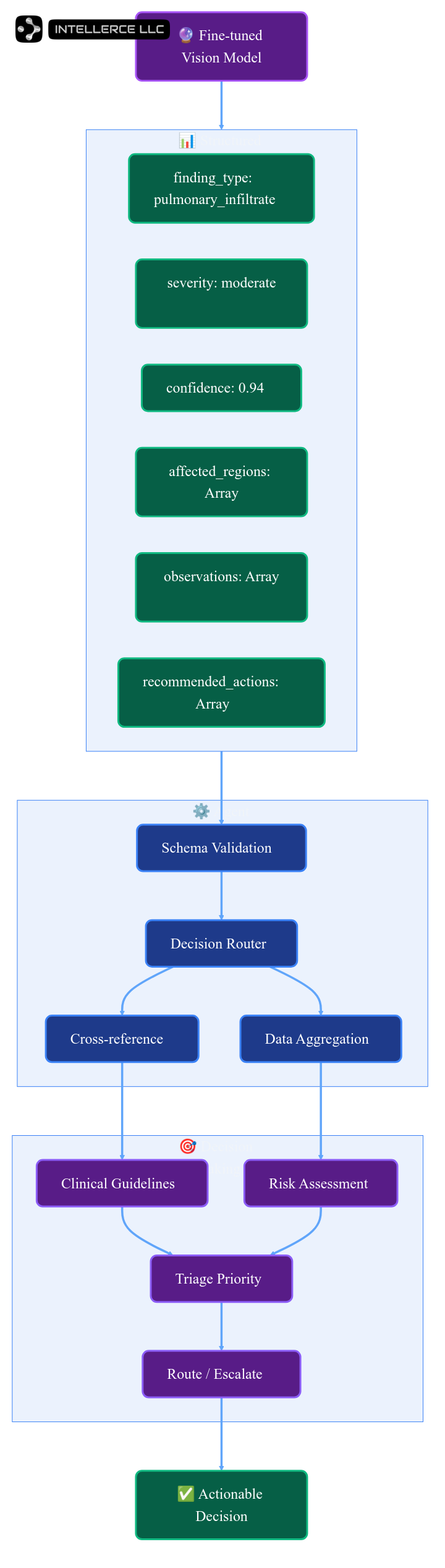 Structured JSON output from a fine-tuned VLM